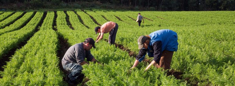 SAF participa de ações para promover agricultura familiar na AgroBarra