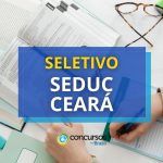 SEDUC CE abre vagas para professor em novo processo seletivo