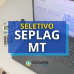 SEPLAG MT oferece vencimentos de R$ 7,8 mil em seletivo