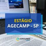 SP abre vagas de estágio por meio de novo edital