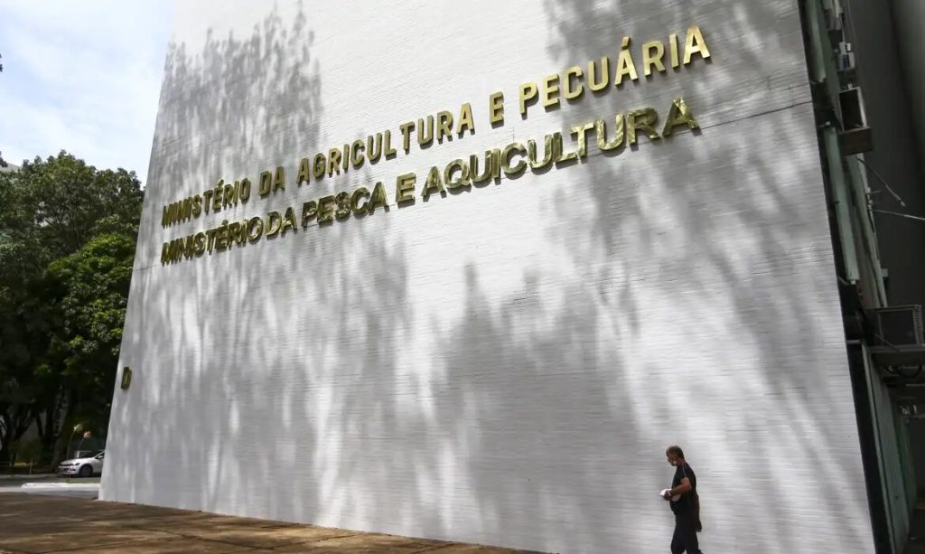 Sete casos de doenças respiratórias em aves são investigados no
