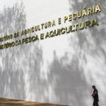 Sete casos de doenças respiratórias em aves são investigados no