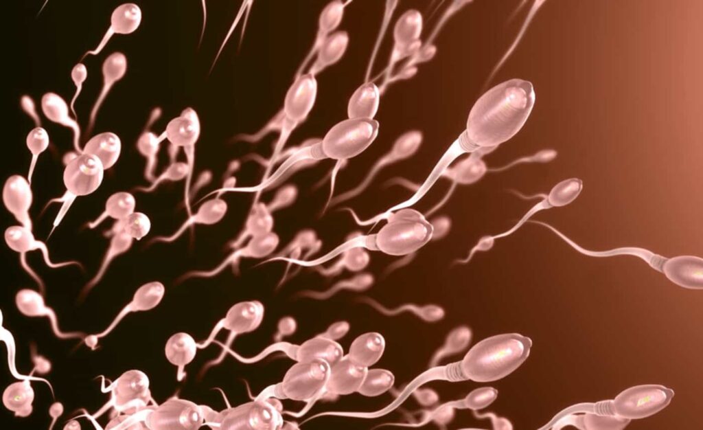 Startup promove a primeira corrida de espermatozoides do mundo