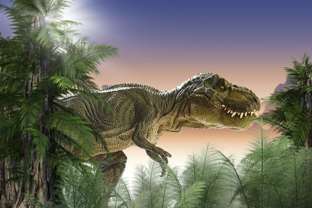 T. rex revela ponte evolutiva de dinossauros entre dois continentes