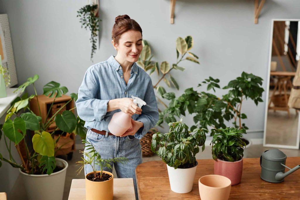 Ter plantas em casa pode melhorar a sua saúde, diz