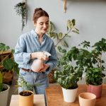Ter plantas em casa pode melhorar a sua saúde, diz