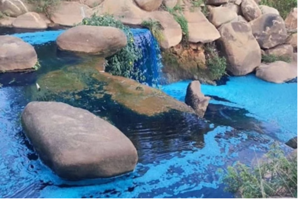 Tudo azul: vazamento de corante atinge água de córrego em