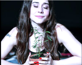 “Uma travessia íntima”, diz Alessandra Negrini sobre A Árvore