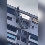 Vídeo: homens ficam pendurados em andaime no 22º andar de