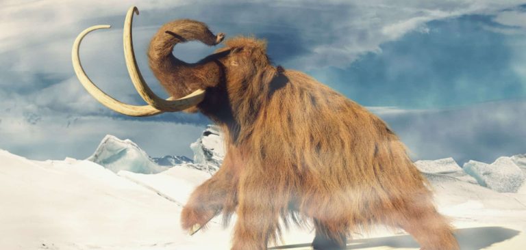 10 raças extintas de animais que poderiam voltar à vida