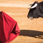 8 mitos sobre animais que muita gente ainda acredita