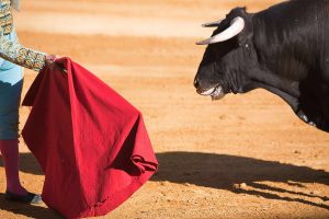 8 mitos sobre animais que muita gente ainda acredita