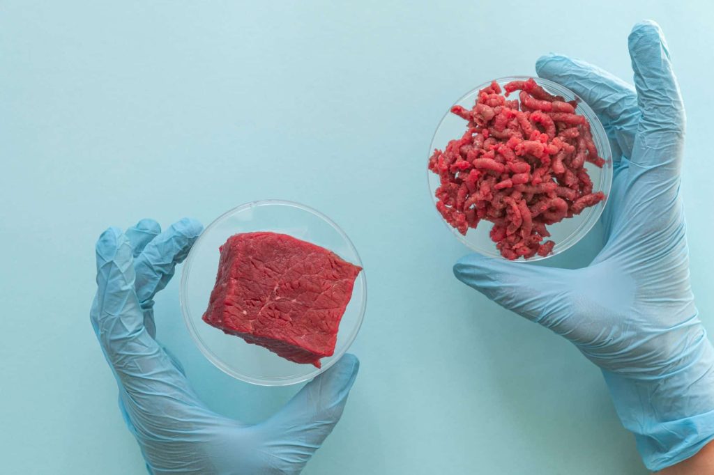 Austrália aprova o consumo de carne cultivada em laboratório