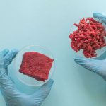 Austrália aprova o consumo de carne cultivada em laboratório