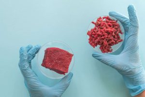 Austrália aprova o consumo de carne cultivada em laboratório