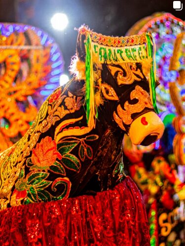 Boi de Santa Fé promove ritual de batismo nesta quinta