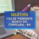 CDS de Piemonte Norte do Itapicuru