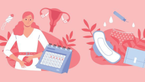 Ciclos menstruais se sincronizam quando mulheres moram juntas?