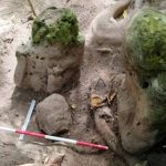 Cidade perdida maia é descoberta na Guatemala