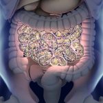 Cientistas identificam novo risco associado a nanoplásticos