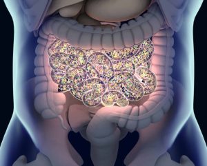 Cientistas identificam novo risco associado a nanoplásticos