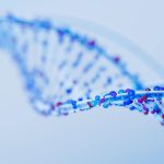 Cientistas iniciam criação de DNA humano sintético do zero