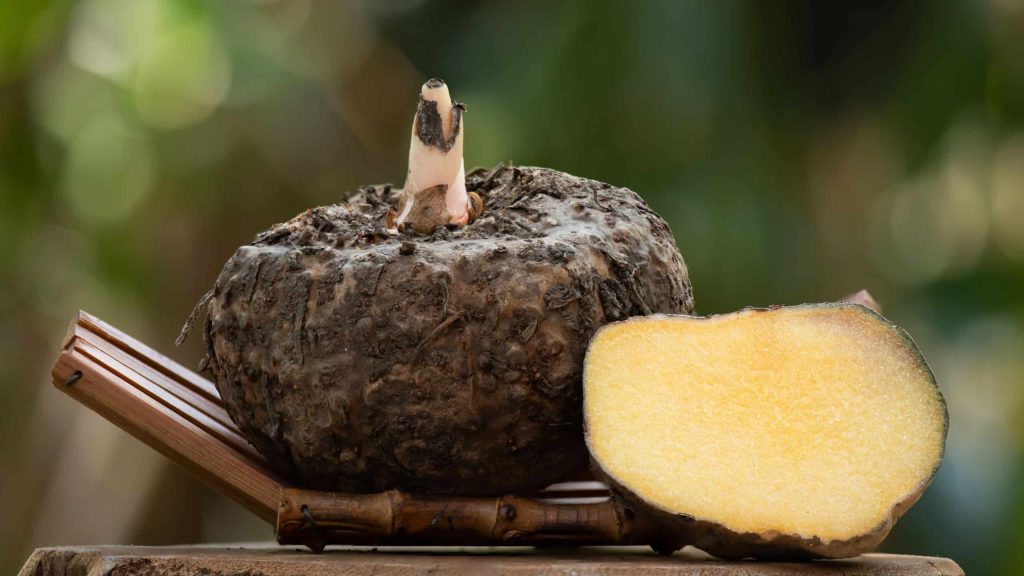 Conheça o glucomanano, considerado o “Ozempic natural” para emagrecer