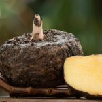 Conheça o glucomanano, considerado o “Ozempic natural” para emagrecer
