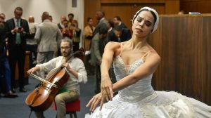 Contratos temporários do Theatro Municipal são prorrogados até 2026