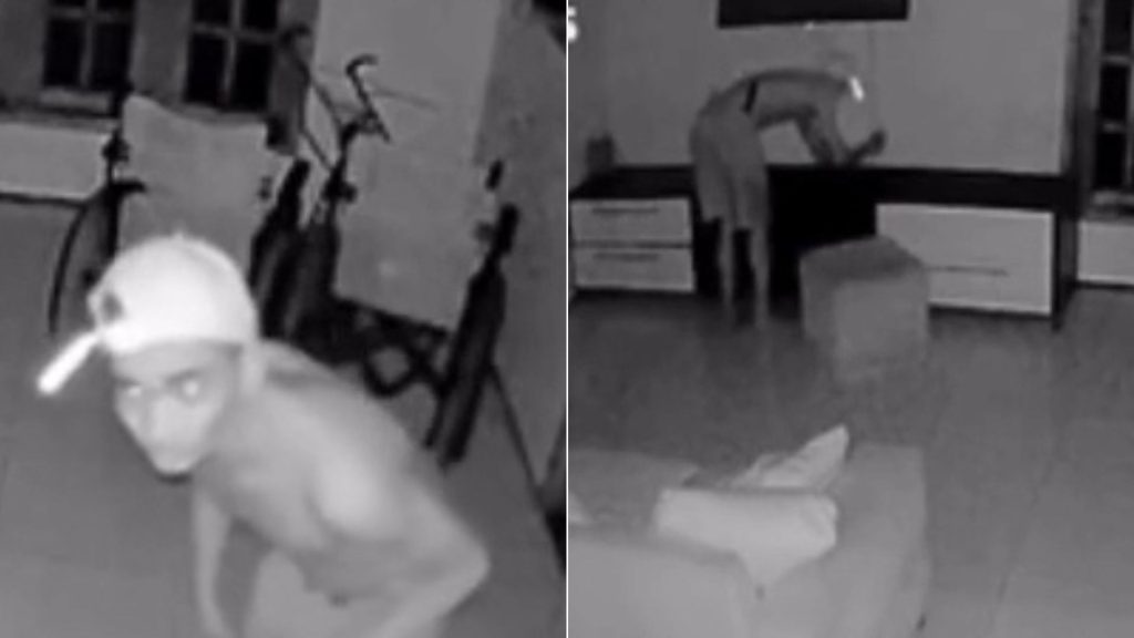 Criminoso invade casa de irmãos cadeirantes e rouba TV, em