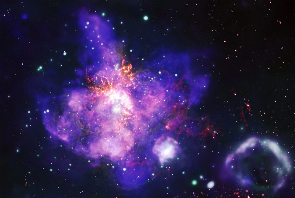 Dia dos Namorados: veja um “buquê de estrelas” e outras