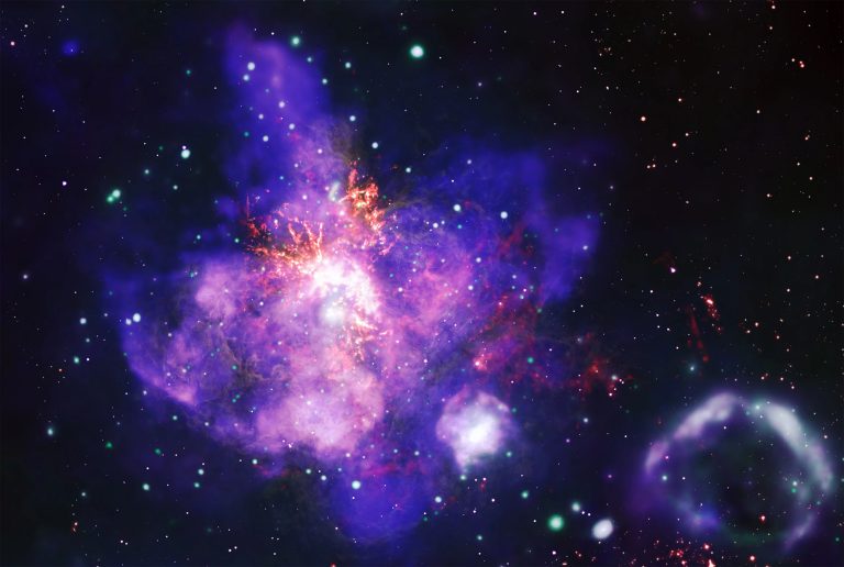 Dia dos Namorados: veja um “buquê de estrelas” e outras