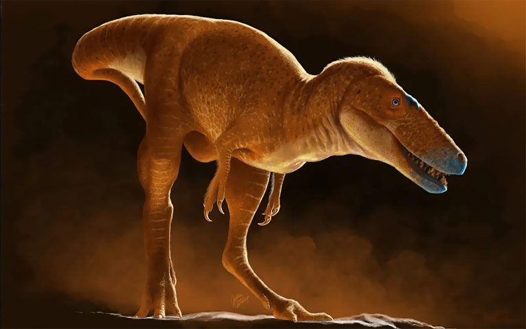 Dinossauro recém-descoberto muda tudo o que se sabe sobre a