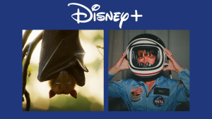 Disney+: lançamentos da semana (16 a 22 de junho)
