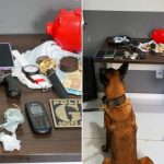 Doze pessoas são presas em operação contra o tráfico de