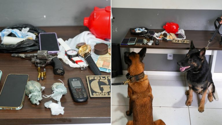 Doze pessoas são presas em operação contra o tráfico de