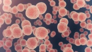 Estudo: câncer pode ser detectado no sangue até três anos