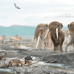 Extintos há 10 mil anos, mastodontes fazem falta no Chile;