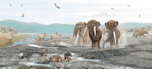 Extintos há 10 mil anos, mastodontes fazem falta no Chile;