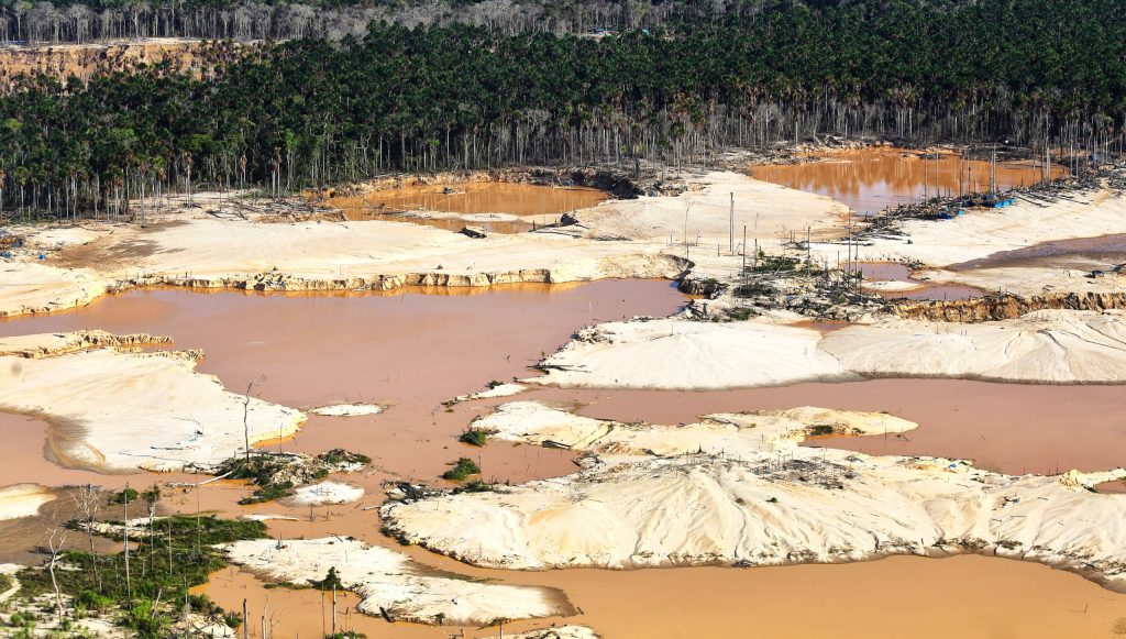 Florestas não estão se recuperando após a mineração de ouro