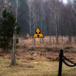 Fungo usa radiação para crescer e pode “limpar” Chernobyl 