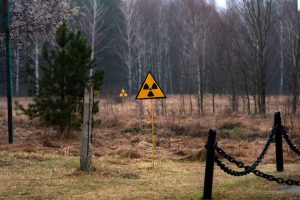 Fungo usa radiação para crescer e pode “limpar” Chernobyl 