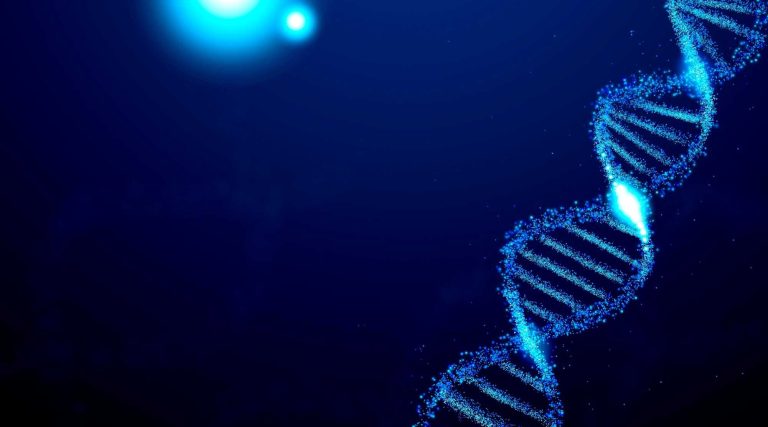 Gêmeos idênticos: estudo revela mistérios da genética
