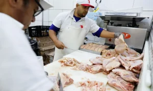 Gripe aviária: Brasil retoma exportações de frango para 17 países