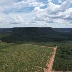 IPAM calcula risco climático de propriedades rurais, veja como participar