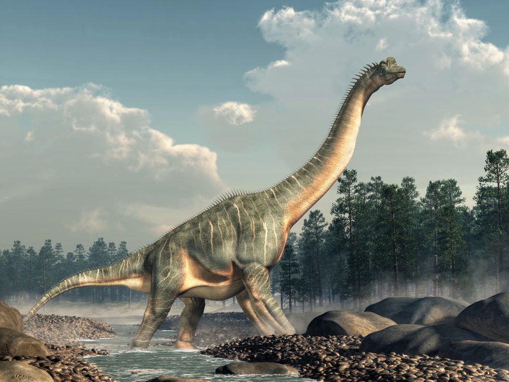 Intestino fossilizado corrobora teoria sobre dinossauros saurópodes