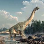 Intestino fossilizado corrobora teoria sobre dinossauros saurópodes