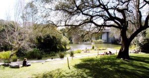 “Jardim de Verão” da Gulbenkian começa a 21 de junho