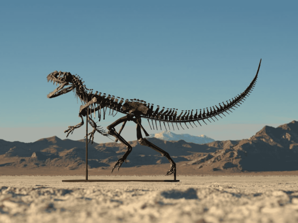 Leilão de fóssil de dinossauro causa ira de paleontólogos
