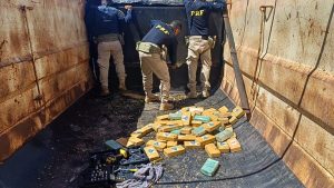 Mais de 120 kg de cocaína são apreendidos em carga